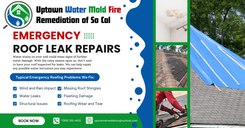 Why HOAs Should Schedule Building Leak Inspections Before the&nbsp;Rain